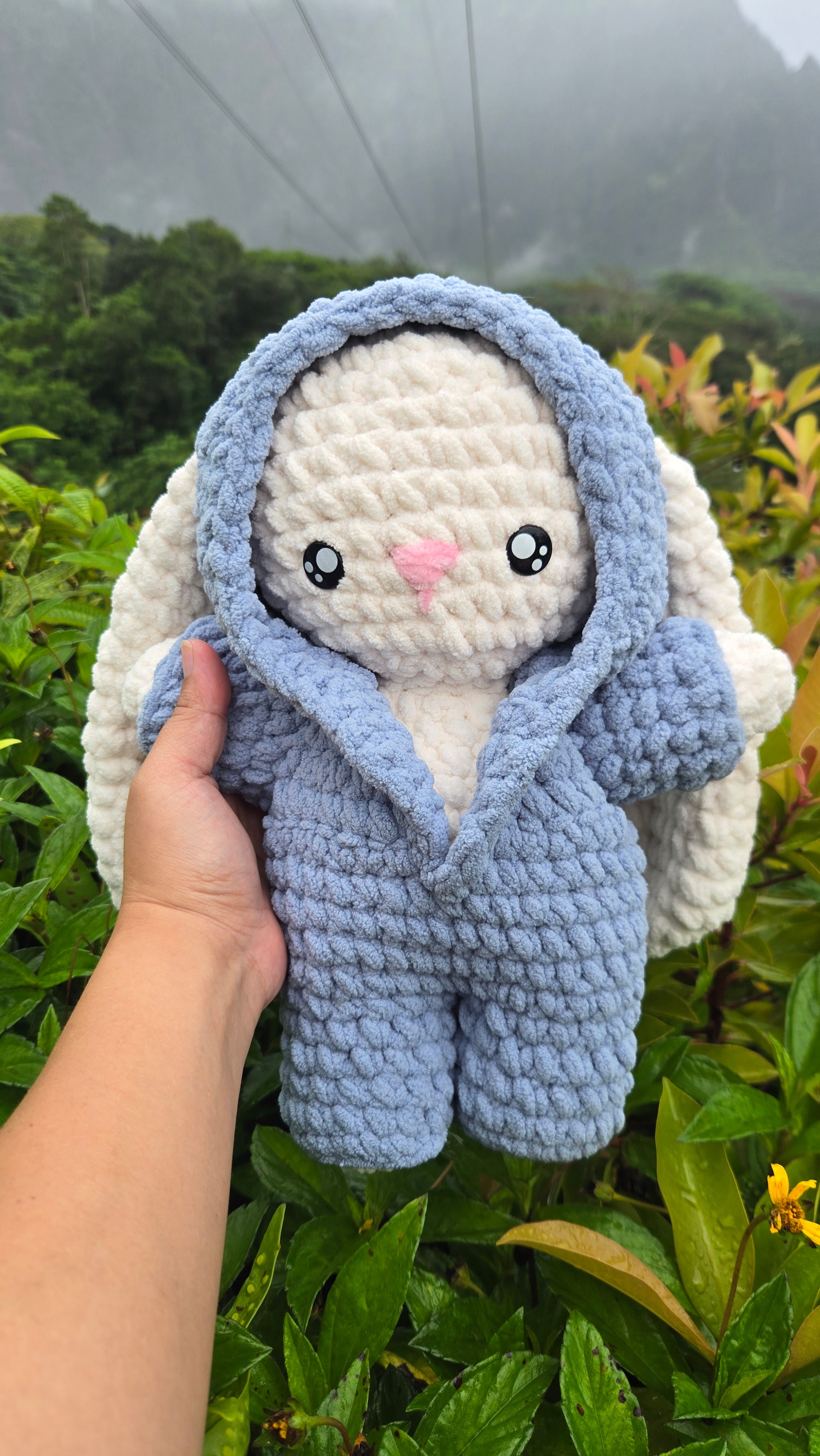 Butterbean the Bunny