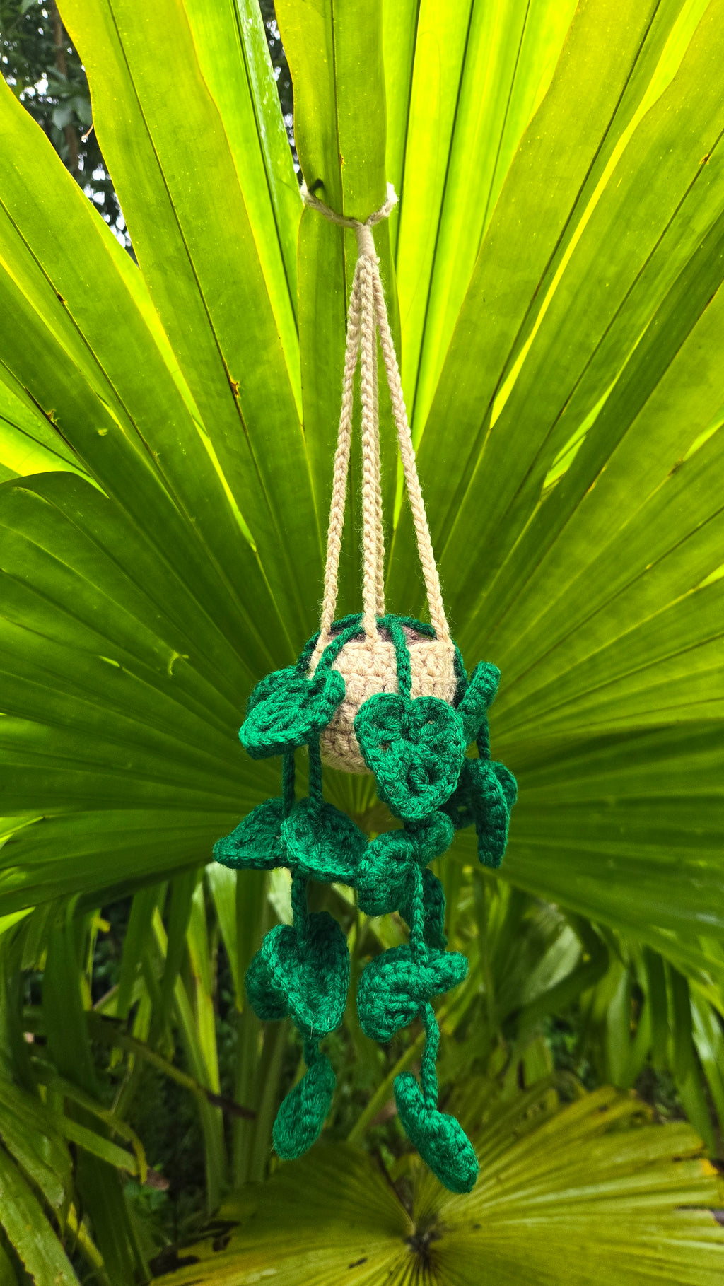 Hanging Flower Pot