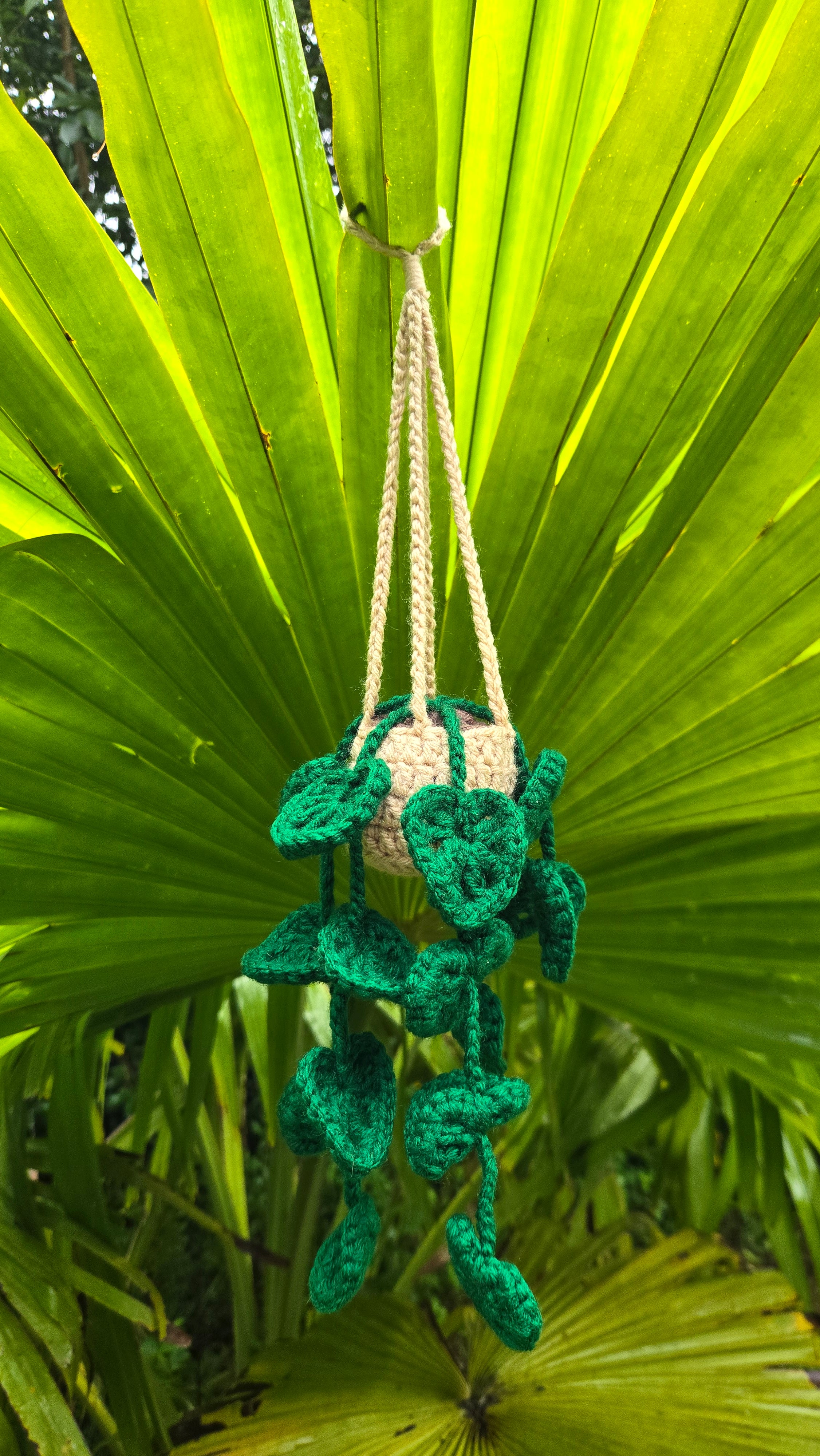 Hanging Flower Pot