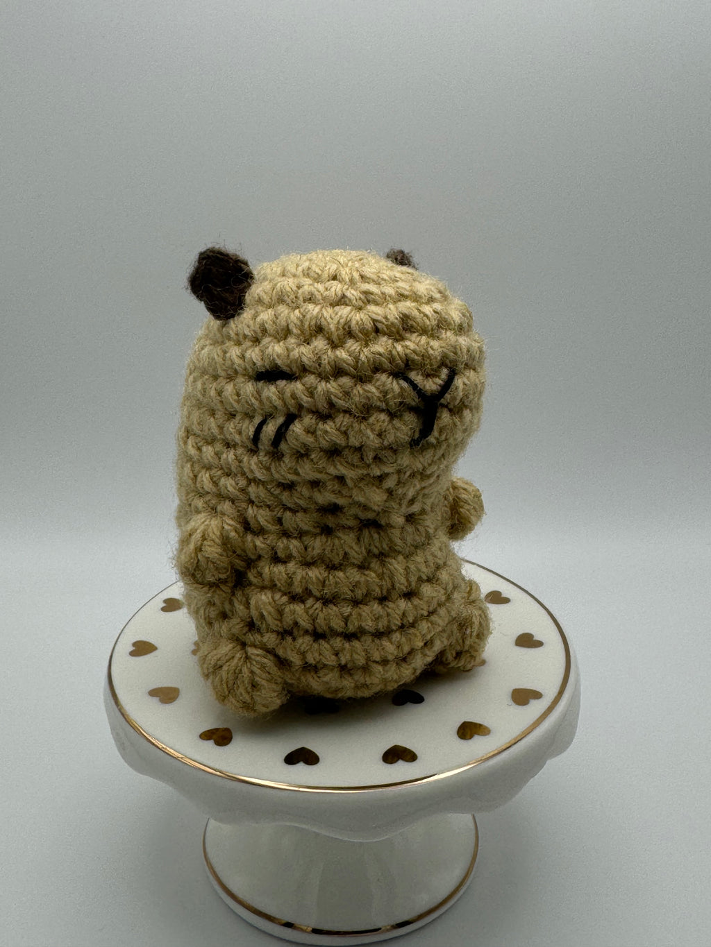 Coco the Capybara
