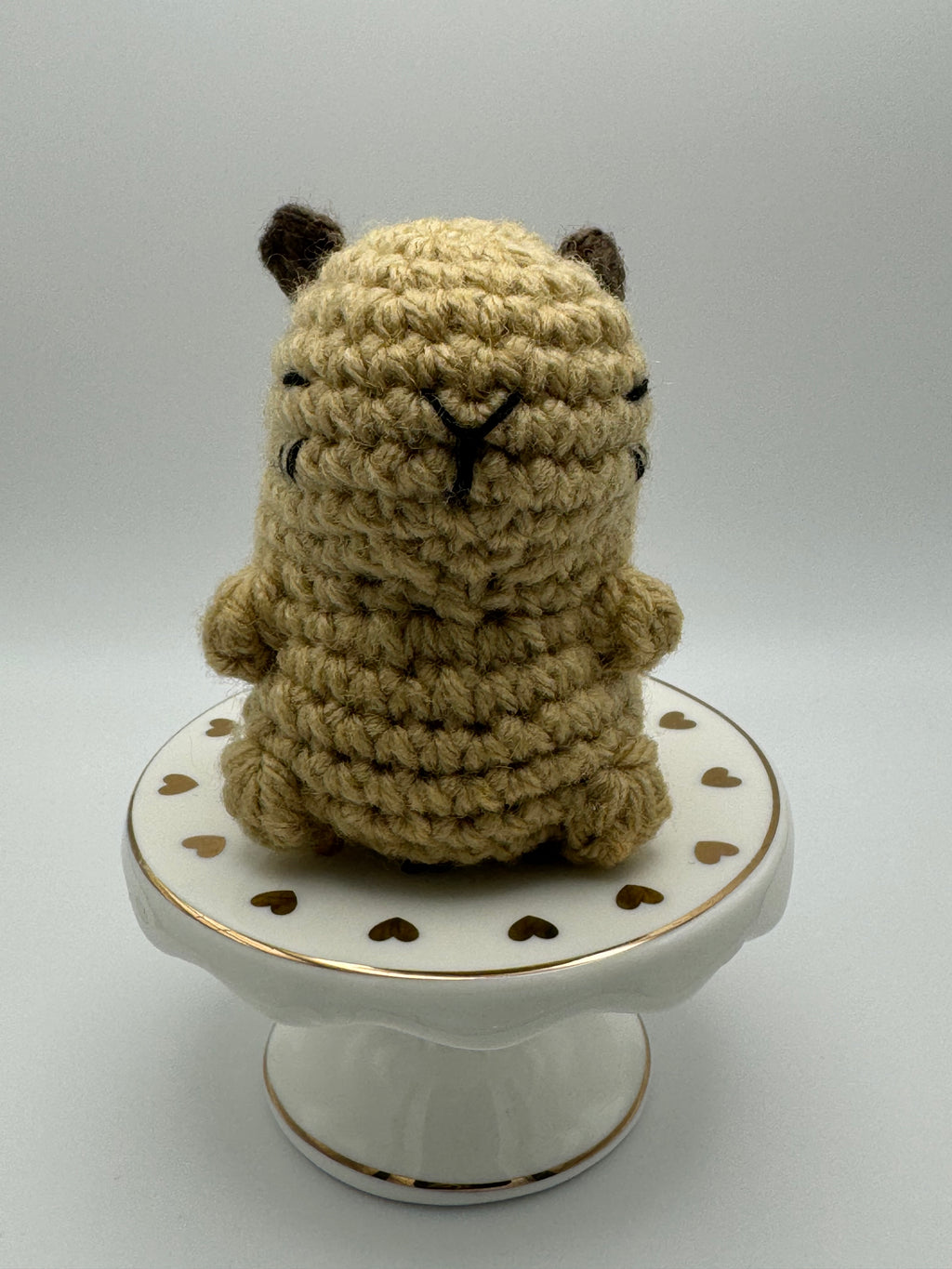 Coco the Capybara