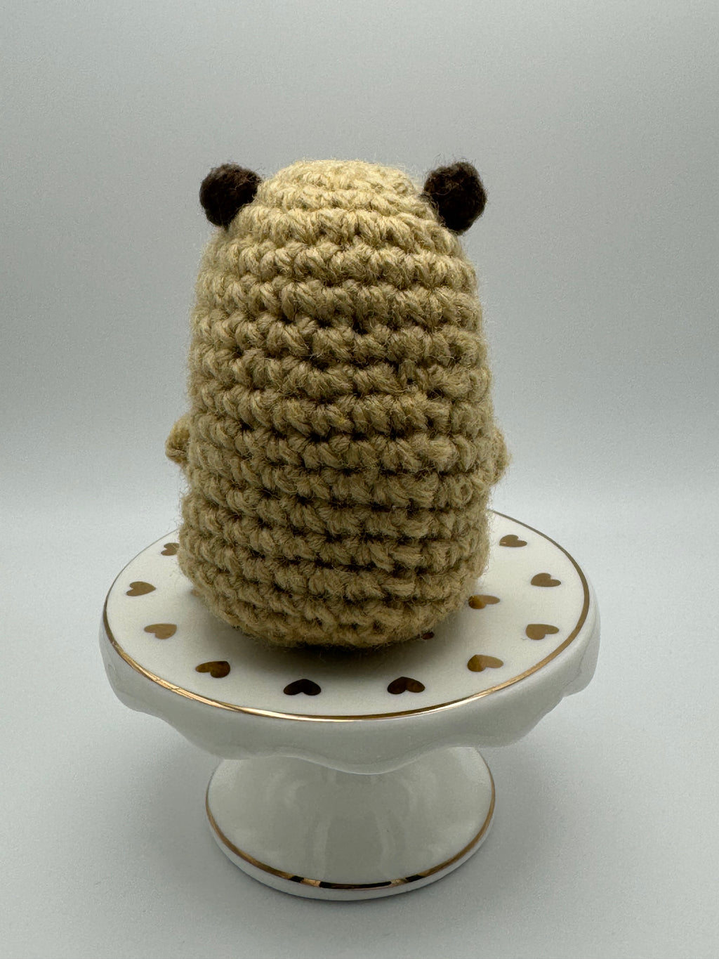 Coco the Capybara